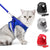 Reflective Cat Harness And Leash Set